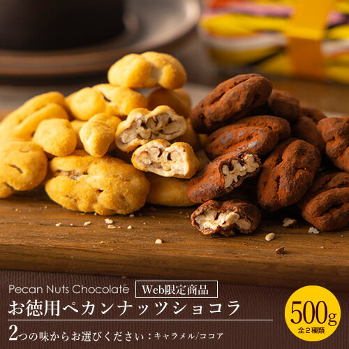 ペカンナッツショコラ　お徳用500g(キャラメル/ココア)[ピーカンナッツチョコレート ピーカンナッツ チョコ あす楽 送料無料 バレンタイン チョコ 義理チョコ プチギフト ばらまき 大容量 バレンタインチョコレート キャッシュレス 還元]