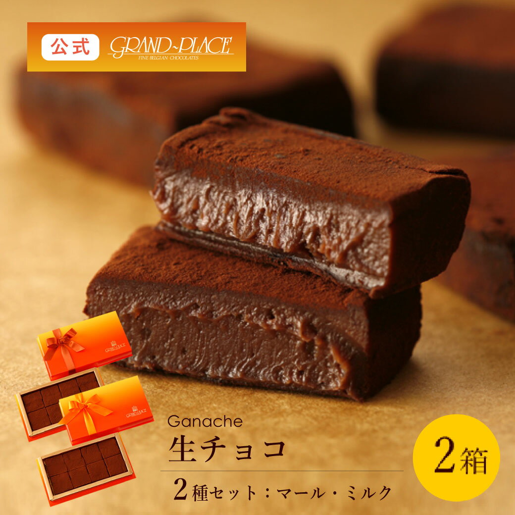 【 食べ比べ 2箱セット 】生チョコ 8個入 マール(シャンパン風味) ミルク 各1箱 / 送料無料 ベルギー チョコレート 高級 ギフト オシャレ お祝い スイーツ おうちカフェ 差し入れ