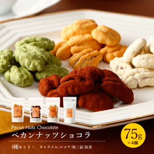 ペカンナッツショコラ スタンドパック 4種×各1個 バレンタイン 2021 チョコレート お菓子 プレゼント 送料無料 お試し 福袋 食べ比べ プチギフト 3000円 スイーツ ピーカンナッツ チョコ おしゃれ 高級 日持ち お取り寄せ あす楽