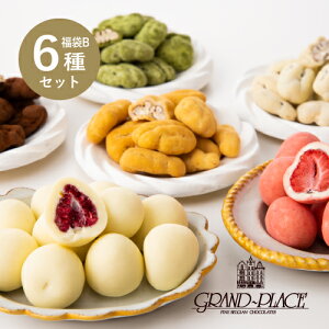 人気商品 お試しセット B(6種) ペカンナッツショコラ×4種 ベリーチョコ×2種 バレンタイン 2021 チョコレート 福袋 送料無料 プチギフト スイーツ ピーカンナッツ チョコ かわいい 高級 お取り寄せ 義理チョコ あす楽 バレンタインデー インスタ映え