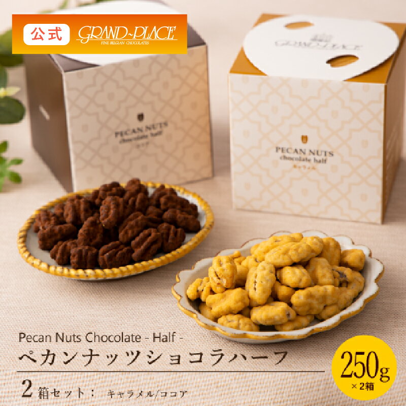 【2箱セット】ペカンナッツショコラ ハーフ 各250g（キャラメル、ココア）/ 送料無料 ペカンナッツ ナッツチョコ 高級 おしゃれ スイーツ プチギフト お得 あす楽