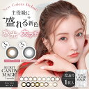 (度あり)シークレット キャンディーマジック(1枚入) secret candymagic 1month ワンマンス 1ヶ月 14.5mm キャンマジ カラコン マンスリー