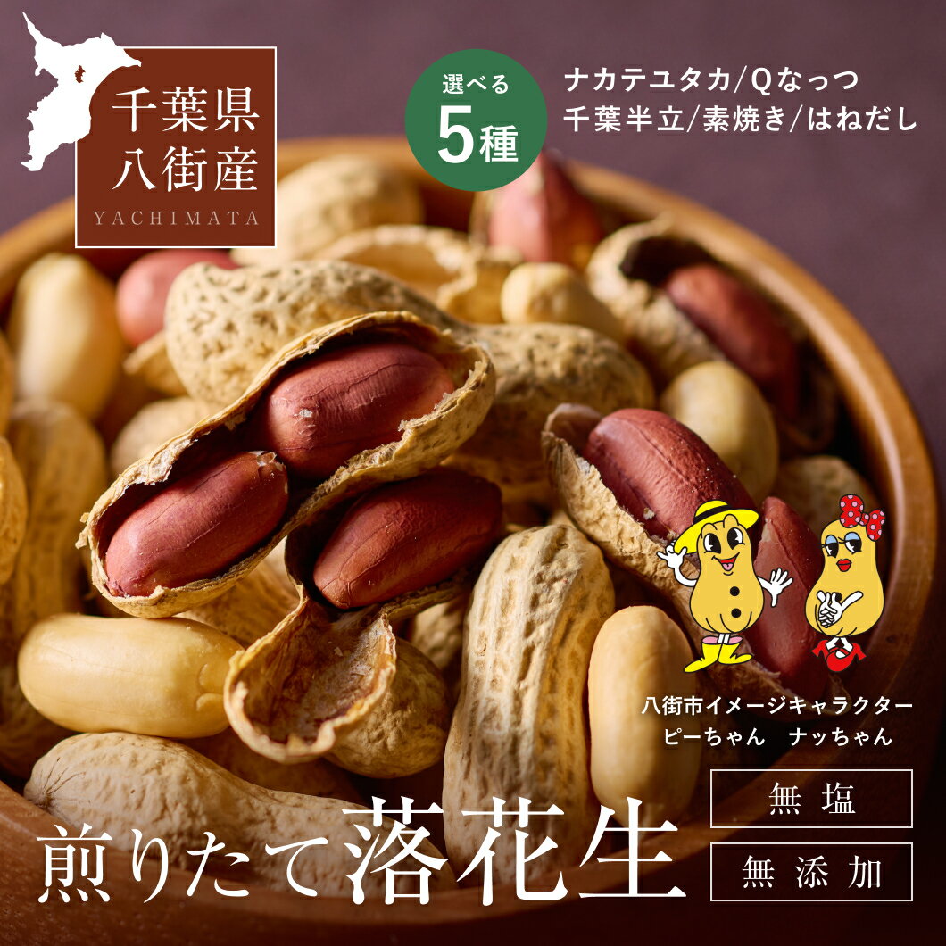 【千葉県八街産100%】(新豆) 落花生 千葉県産 殻付き 千葉半立 ナカテユタカ Qなっつ はねだし 素焼き 無添加 無着色 無塩 添加物不使用 八街市 ナッツ ピーナッツ 90gから400g 八街市 酒の肴 らっかせい 八街フーズ 送料無料 おつまみ 父の日 煎りざや バターピーナッツ