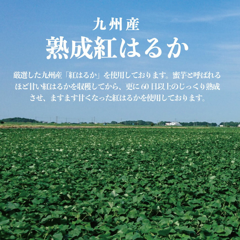 九州産生姜入り高菜漬け600g【老舗のウマッ生姜高菜200gtimes;3袋セット(しょうゆ漬け)】【長崎県産生姜使用】【合成保存料・合成着色料不使用】