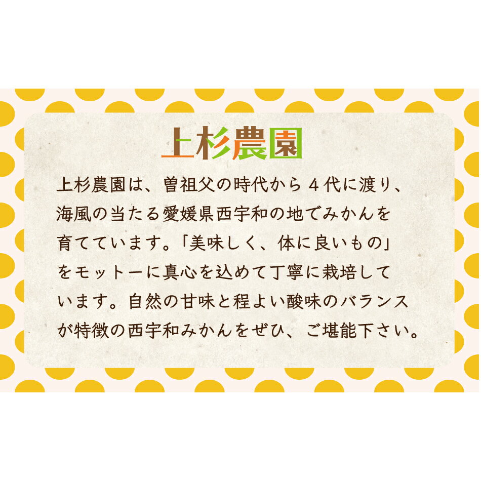 愛媛産高級オレンジジュース100%送料無料【一部地域除く】(ニューサマーオレンジ丸搾りストレート720mltimes;3本)みかんジュースギフトセットギフトプレゼント