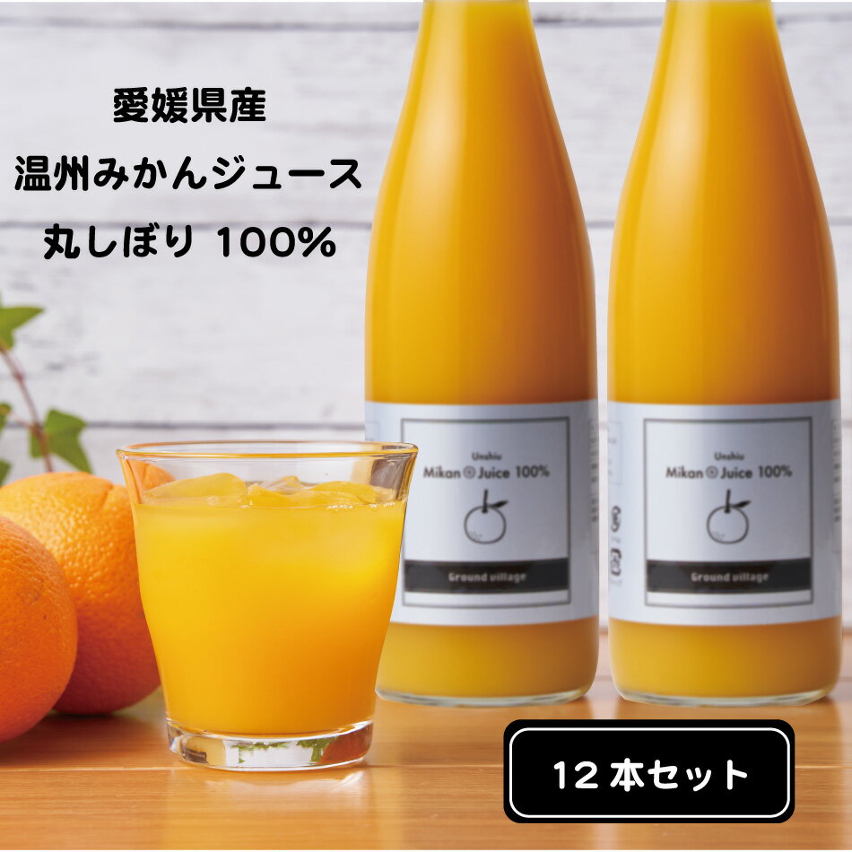 みかん 愛媛県産 高級 オレンジジュース 100% (720ml×12本) 無添加 オレンジジュース ストレート オレンジジュース 100％ 紙パック ではない 温州 みかんジュース ストレート ミカン