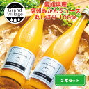 ギフト 果物 ジュース みかん 愛媛県産 高級 オレンジジュース 100% (720ml×2本) 無添加 オレンジジュース ストレート オレンジジュース 100...
