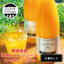 オレンジジュース 母の日 ジュース 母の日 果物 ジュース ギフト みかん 愛媛県産 みかんジュース 100％ (720ml×3本) 高級 オレンジジュース ストレート 無添加 オレンジジュース 100％ 愛媛 みかんジュース フルーツジュース 送料無料