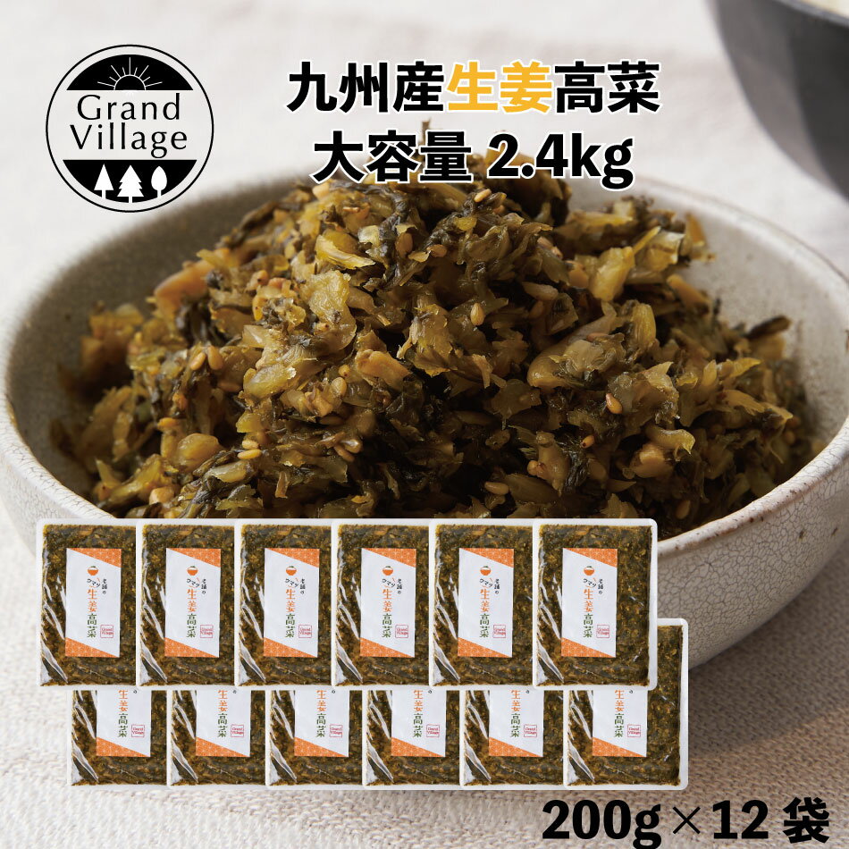 九州産 老舗 生姜 高菜 高菜漬け たかな 高菜漬 2400g おまとめ 生姜高菜200g 12 長崎産 生姜 高菜 国産 しょうゆ漬け 塩漬け 漬物 ギフト 高菜 ビレッジ 高菜油炒め 高菜の葉 大容量 2.4kg