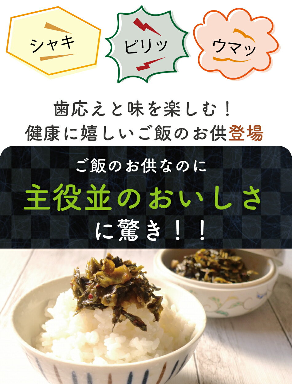 九州産 老舗 生姜 高菜 高菜漬け たかな 高菜漬 2400g おまとめ (生姜高菜200g×12) 長崎産 生姜 高菜 国産 しょうゆ漬け 塩漬け 漬物 ギフト 高菜 ビレッジ 高菜油炒め 高菜の葉 大容量 2.4kg 3