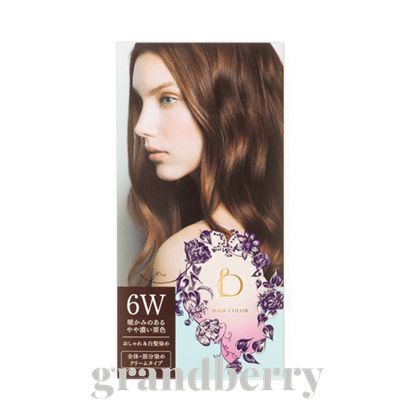 資生堂 ベネフィーク ヘアカラー　6W（暖かみのあるやや濃い栗色）【宅配便B発送】