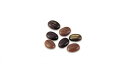 チョコレート型martellato【MA1281】コーヒービーンズ(コーヒー豆)17mm(130粒)ポリカーボネイト製（ハードプラスチック）ボンボンショコラ型