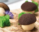 シリコン製ケーキ型 Mushroom マッシュルーム きのこ 直径2.8cm（20個取）【GG025】PAVONIパボーニ社製