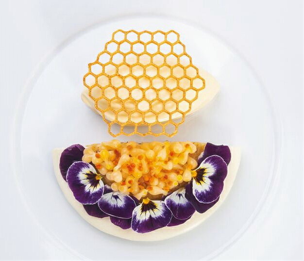 シリコン製すり込み型 飾りDECO型 Honeycomb 蜂の巣 【GG047】7cm（8取)PAVONIパボーニ社製 3種類(三色)チュイールのレシピ付