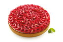 tarte ring210 穴あき タルトリング21cm×1個入りセット タルト型 ノンスティック加工(コーティング)穴あきステンレス製 シリコマート社製【2S...
