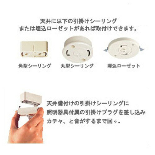 ペンダントE26用ブラウン150cmアクシスHomesteadホームステッドHS2909LED電球白熱電球対応ブラウンコードシーリングカバー付カバー付灯具照明パーツアクシスブラウンコードブラウンライト照明器具照明器具部品ソケット送料無料