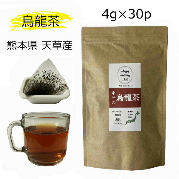 烏龍茶 国産 4g×30包 熊