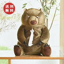 ティッシュケース ウォンバット 動物 アニマル SF-3535 ペーパーボックスホルダー ティッシュケース 洗面所 洗面 キッチン 収納 収納ラック 収納 寝室...