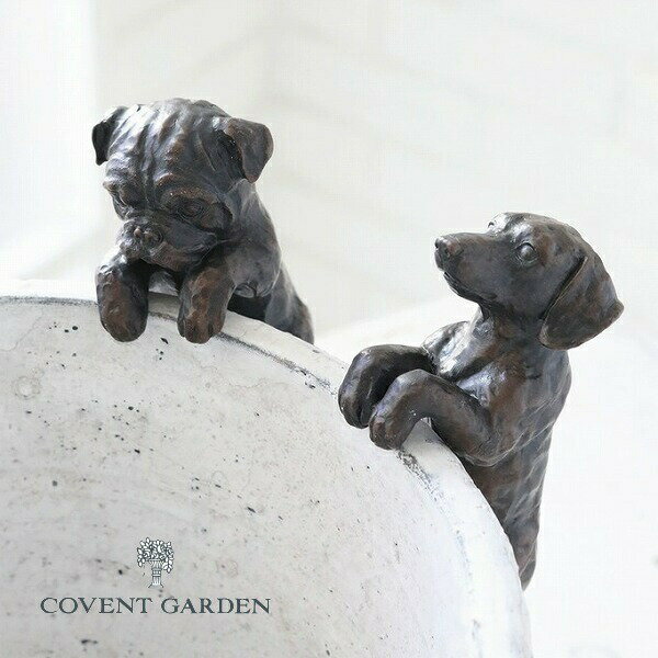 コートプチパピー2点セット ブルドッグ ミニチュアダックス アンティーク調 犬 いぬ イヌ dog ドッグ ドック 動物 コベントガーデン COVENT GAR...