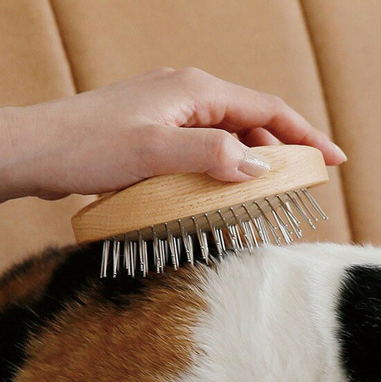 猫 ブラシ キャットブラシ (猫ブラシ) ペットブラシ オークウッド スチール ピン H...