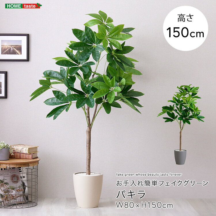 Rakuten - 【25日限定★全品ポイント10倍】お手入れ簡単フェイクグリーン　パキラ　Mサイズ(150cm)