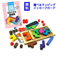 カタミノ(Katamino)ギガミックGigamic知育玩具ボードゲーム