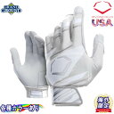 yCOzyzG{V[h Xs[hXgCv obeBOO[u  싅 EVOSHIELD SPEEDSTRIPE BATTING GLOVES