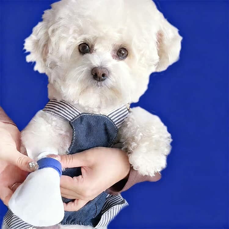 防塵 犬の靴 靴 ペット 使い捨て ドッグウェア 80枚（40足）セット 防水 犬の靴 犬...