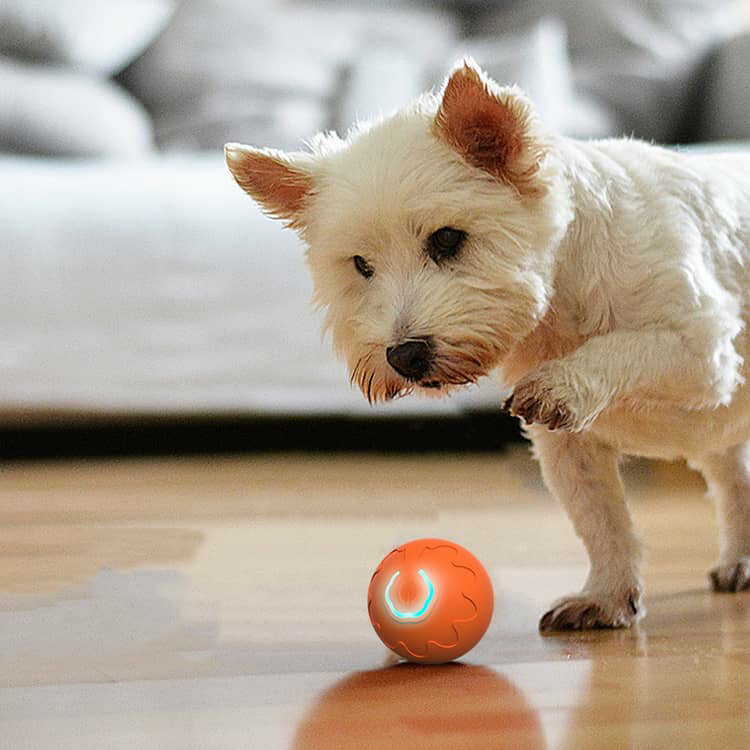 犬 おもちゃ 電動ボール 犬用 ボール 52mm 動く電動 玩具 光る 自動動き 自動 柔らかい 投げ 犬おもちゃ 耐久性 頑丈 耐摩耗性 訓練用 ひとり遊び オモチャ 動くボール ペット用 USB充電 ペット用ボール 小型犬 中型犬 猫 運動不足 3
