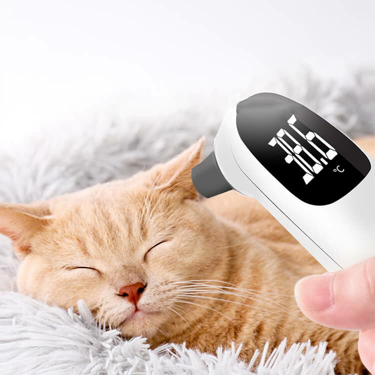 �ڥå� �β��� �ڥå��� ���ܿ� �� ǭ �ֳ��� �������ٷ� ���� 1�ù�®¬�� ���ܿ����ٷ� USB���ż� �ǥ�����ɽ�� ȯǮ���顼���� ���� �ᤤ�β� Ǯ ȯǮ �β�¬�� �β���¬ ���� ���ԡ���¬�� ��Ͽ û����¬�� ����ñ �������� 32��42.9��¬���б� ����̵��
