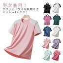 送料無料 アイスシルクTシャツ 冷感 tシャツ メンズ レディース カップル服 半袖 Tシャツ メッシュtシャツ 接触冷感 夏 薄手 涼しい 配色 バイカラー トップス カットソー 吸汗速乾 ひんやり ロンT ペアルック 男女兼用 スポーツウェア ランニングウェア カジュアル 通気性