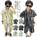 ベビー服 男の子 ギフト ハーフパンツ リゾート 海 旅行 ハーフパンツ キッズ ビーチ 女の子 ショートパンツ 総柄 子ども 子供用 上下セット 春夏 アロハ...