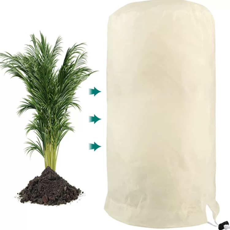 ��2�祻�åȡ� ����ɻ� ��ʪ���С� �Կ��� �ݸ�С� ��ʪ �ɴ����С� �ɴ� �ݲ� ���� ���� ���� ���弰 � �̵��� ȭ���� ����ɳ�դ� ��ʪ�ݸ��� �ץ�󥿡����С� ��ʪ�ݲ��ͥå� ���� ���� �����ǥ� ���տ�ʪ ������� �����Ѳ�