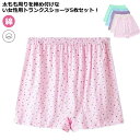 ウエストゴム スタンダード 大きいサイズ トランクス 下着 締めつけない ショーツ レディース 5枚組 母の日 深ばき らくちん ボックスショーツ ゆったり ショーツ 綿 婦人 快適 お年寄り ママ おやすみパンツ 敬老の日 おやすみパンツ ギフト XL 2XL 3XL 4XL