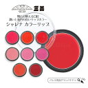 三善 シャレナ カラーリップ(口紅/ポイントカラー)バレエメイク 舞台化粧品 リップカラー 洋装 ブライダル ミツヨシ みつよし コスプレ 韓流メイク 39ショップ