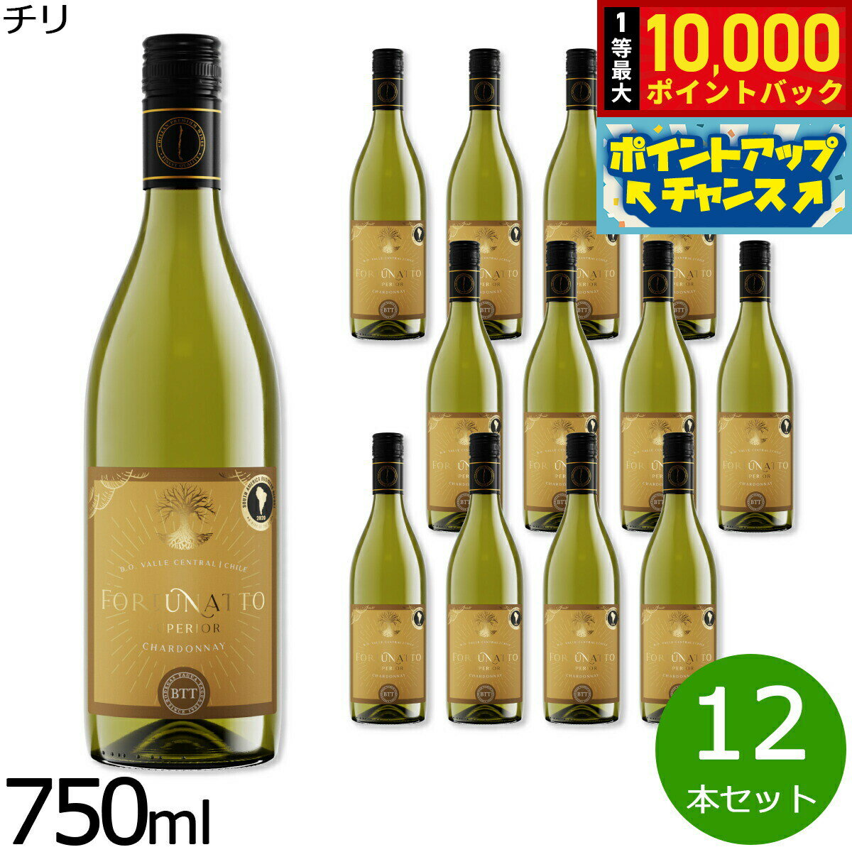 【抽選で最大10000ptバック！お買物マラソン限定！】フォルトゥナート スペリウール シャルドネ チリ産 辛口 白ワイン 金賞 メダル 750ml×12本【送料無料】