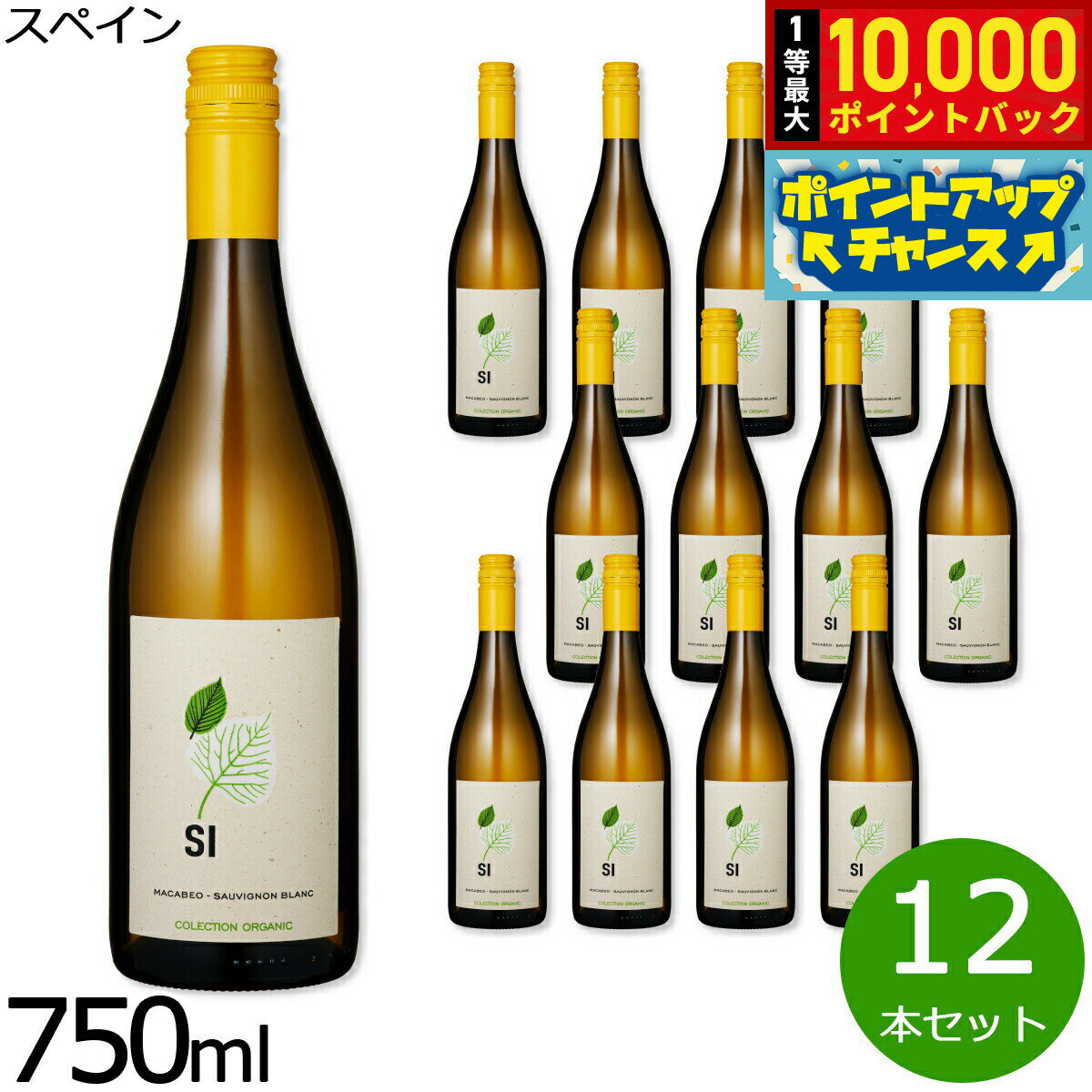 【抽選で最大10000ptバック！お買物マラソン限定！】自然派ワイン シー オーガニック マカベオ=ソーヴィニヨン ブラン スペイン産 辛口 白ワイン スペインワイン 有機栽培 ビオワイン 1ケース（12本セット）