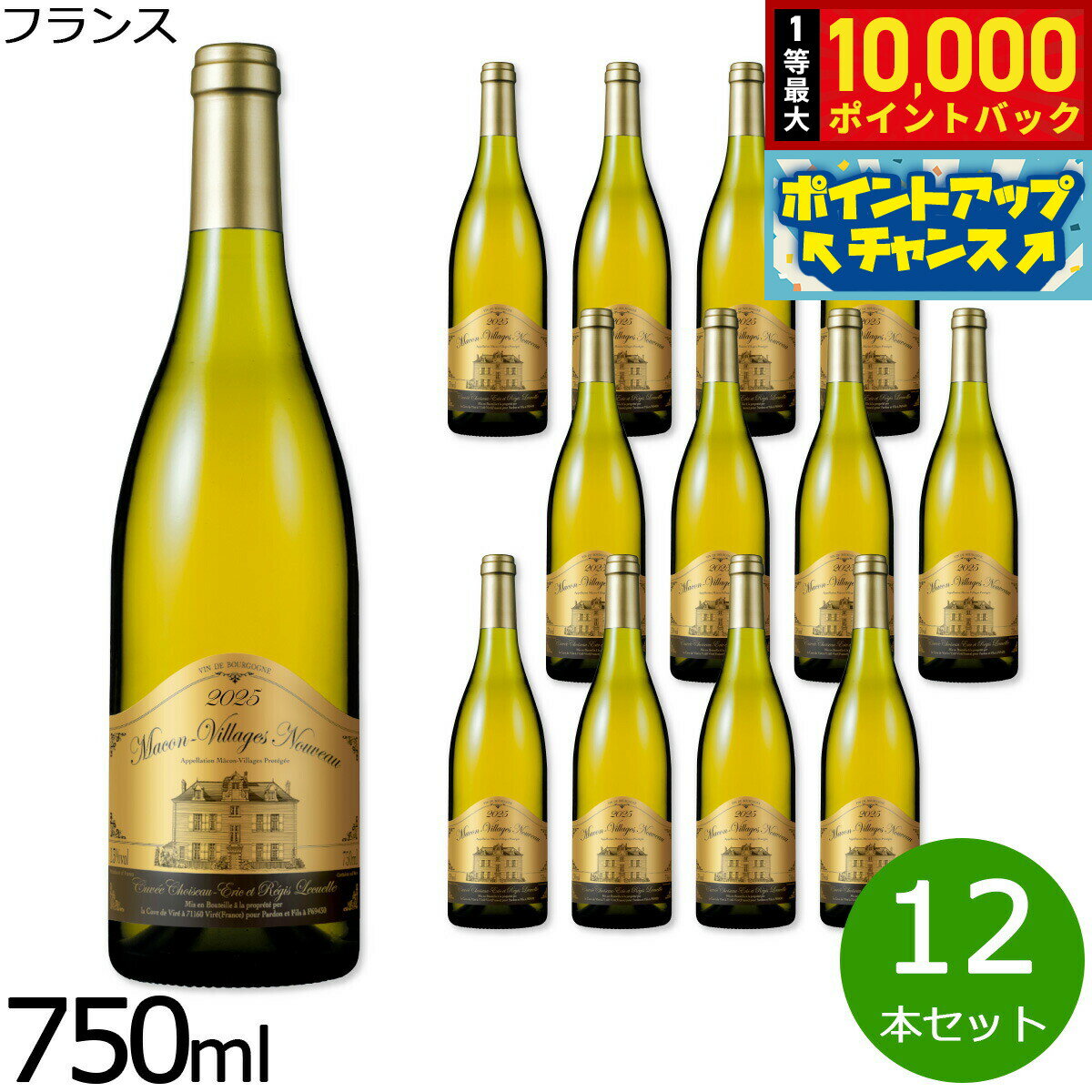 【抽選で最大10000ptバック！お買物マラソン限定！】マコン・ヴィラージュ・ヌーヴォー キュヴェ・ショワゾー 2025 フランス産 白ワイン 750ml×12本