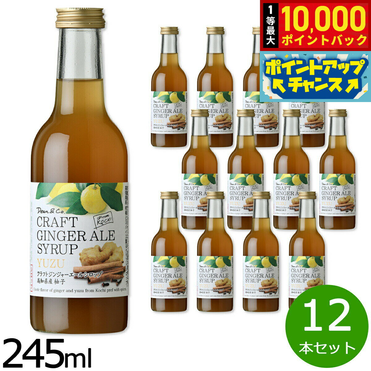【抽選で最大10000ptバック！お買物マラソン限定！】Dean＆Co. ジンジャーエールシロップ柚子 245ml×12本セット 希釈用ドリンク 生姜 はちみつ 無添加 国産 割り材 スパイス 【送料無料】