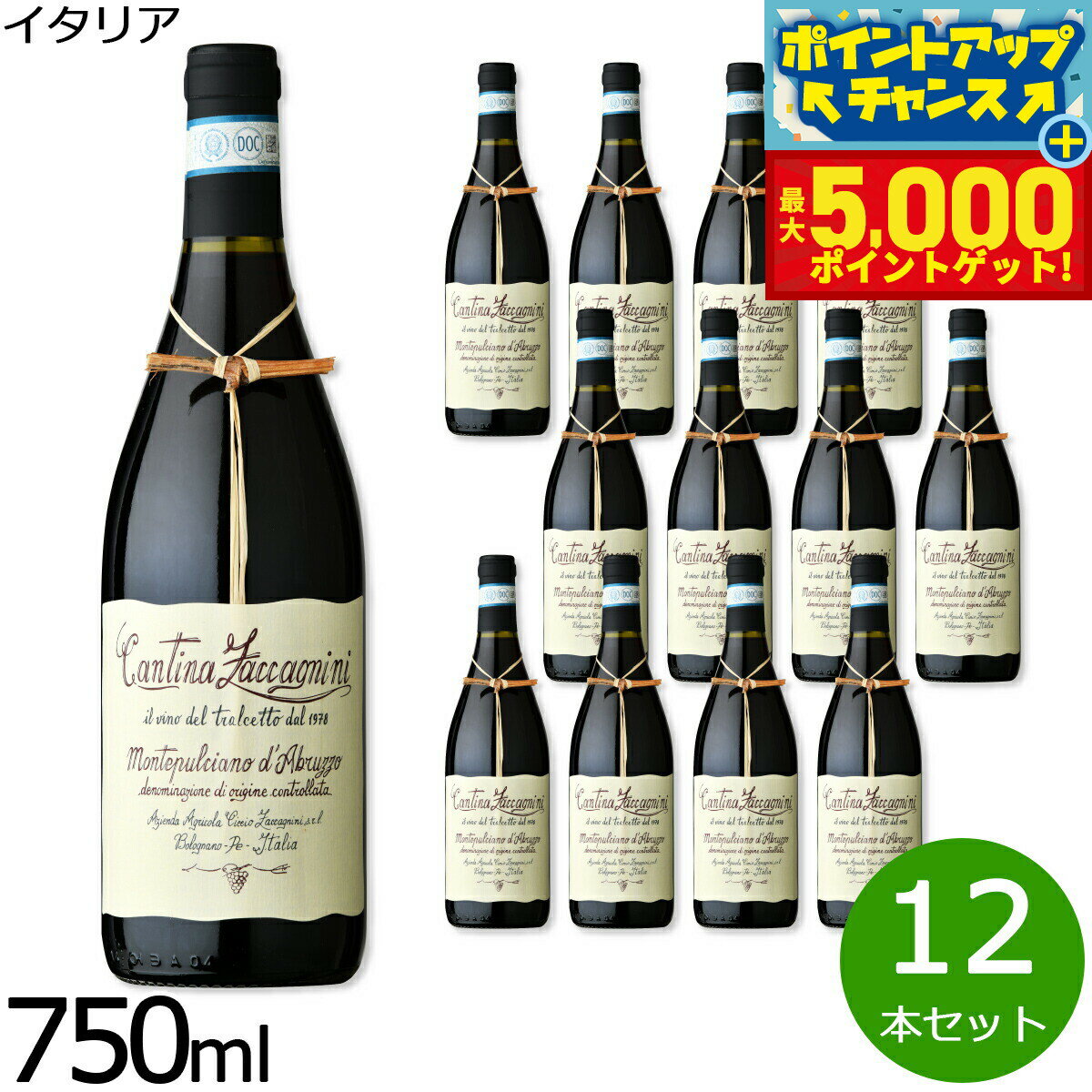 【抽選で100％ポイントバック＆さらにポイント最大+5倍】トラルチェット モンテプルチアーノ ダブルッツォ イタリア産 ミディアム 赤ワイン イタリアワイン 赤 イタリア 750ml×12本【送料無料】