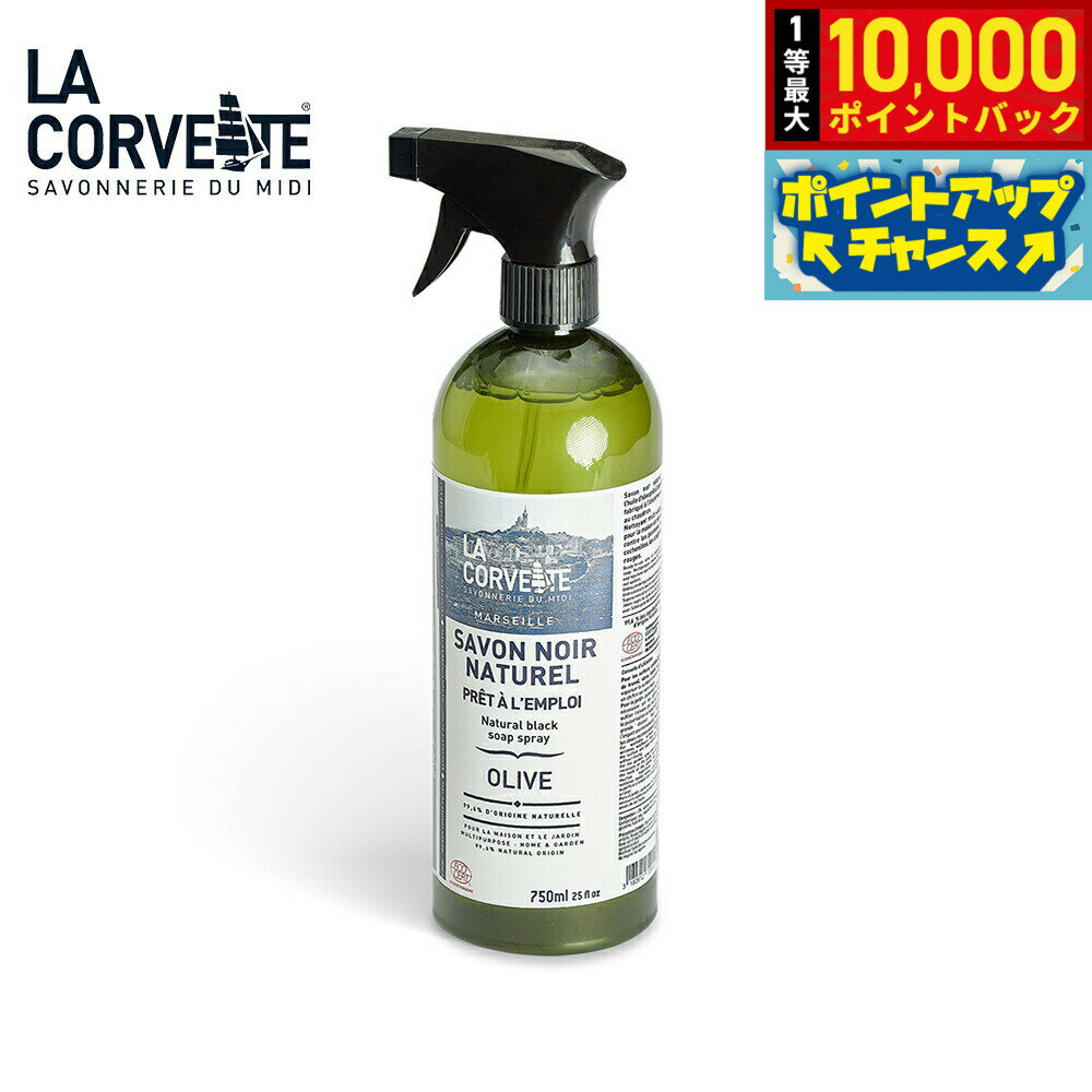 【抽選で最大10000ptバック！25日限定！】LA CORVETTE ラ コルベット サボン ノワール ナチュレ スプレー 750ml