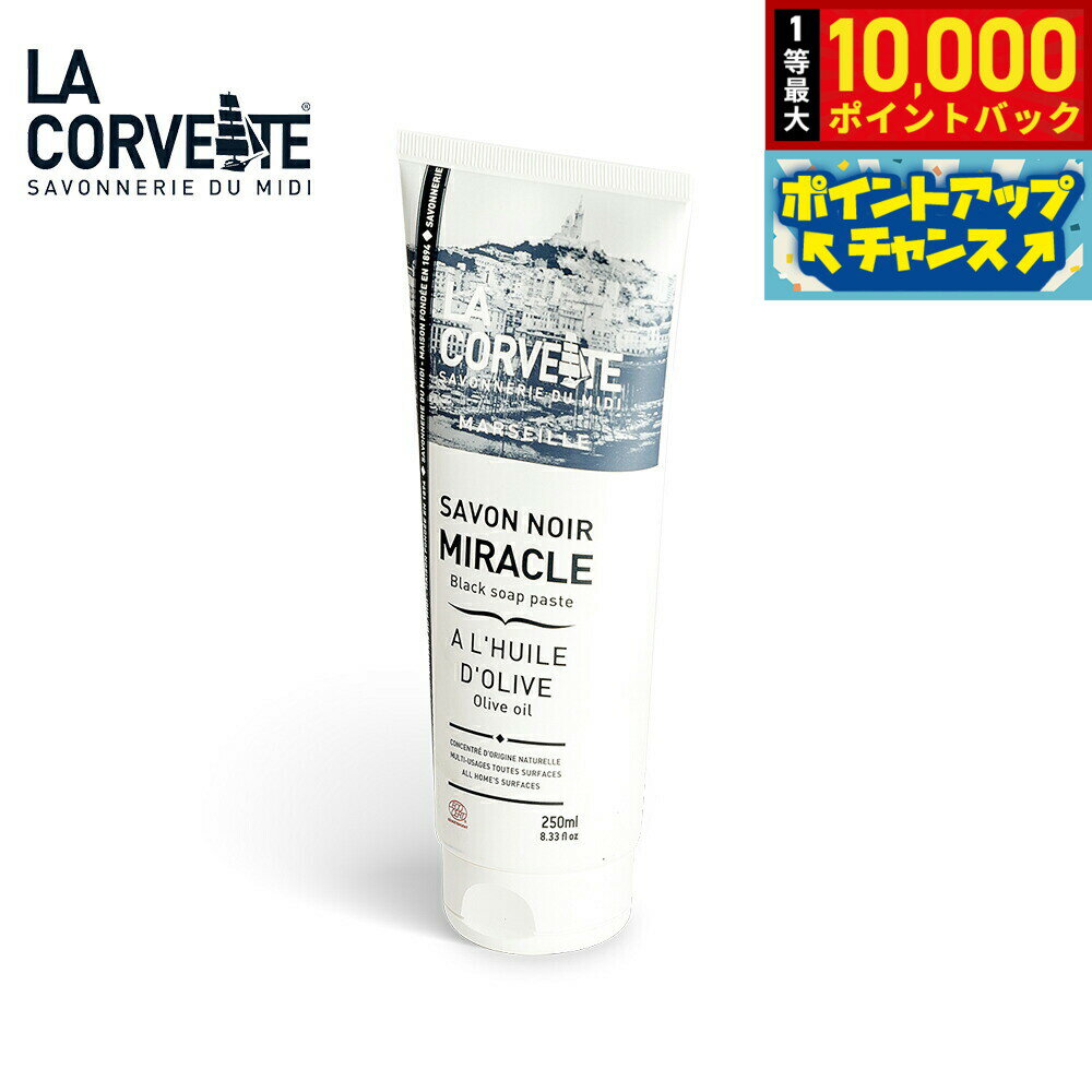 【抽選で最大10000ptバック！25日限定！】LA CORVETTE ラ コルベット サボン ノワール ミラクル ペースト 250ml