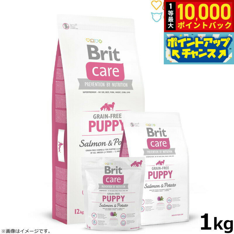 Domestic - ブリットケア Brit Care ドッグフード グレインフリー パピー 1kg 子犬用 穀物不使用 無添加