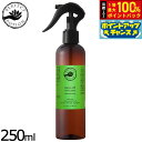 【7/20限定!2人に1人最大100%ポイントバック!要エントリー】PERFECT POTION バズオフルームスプレー 250ml
