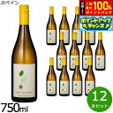 【本日限定!エントリーで最大5000P&抽選で100%ポイントバック】自然派ワイン シー オーガニック マカベオ=ソーヴィニヨン ブラン スペイン産 辛口 白ワイン スペインワイン 有機栽培 ビオワイン 1ケース(12本セット)