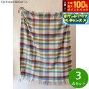 【7/15限定!2人に1人最大100%ポイントバック!要エントリー】The Tartan Blanket Co. フルブランケット レインボーヘリンボーンチェッ...