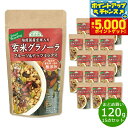【29日10時〜エントリーで最大5000P&店内ポイント最大47倍!】順造選 玄米グラノーラ フルーツ&ナッツミックス 120g×15袋【送料無料】
