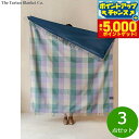 【本日限定!エントリーで最大5000P&店内ポイント最大48倍!】The Tartan Blanket Co. ピクニックブランケット シスルメドウチェック 3...