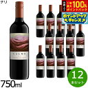 【8/1限定!抽選で2人に1人最大100%ポイントバック!要エントリー】カルモ カベルネ ソーヴィニヨン 750ml×12本