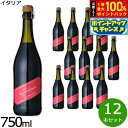 【8/1限定!抽選で2人に1人最大100%ポイントバック!要エントリー】ルナート ランブルスコ デッレミーリア ヴィノ フリッツアンテ ドルチェ イタリア産 甘...